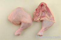 Sell Chicken Leg Quarters - Frozen