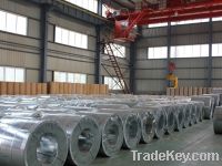 Sell  hot-dipped galvanized steel coil