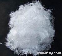 Sell vigrin polypropylene fiber 12mm
