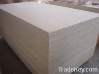 Sell White Birch Plywood