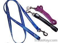 Sell nylon dog leashes
