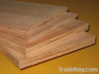 Plywood