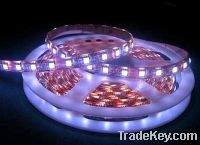 Waterproof LED Flexible Strip Light