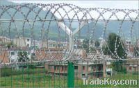 Sell Razor Wire Fence