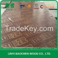 Sell DUKPLEX--FILM FACED PLYWOOD from factory directly