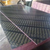 Recycle used finger joint core film faced Plywood to Middle east market