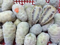 FROZEN NONI FRUIT