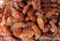 Sell Xinjiang sultanas  raisins