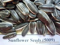 Sell sunflower  seeds