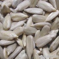 Sell confectionary sunflower kernel