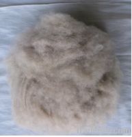 Sell Brown cashmere fibre