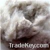 Sell Combed cashmere fibre