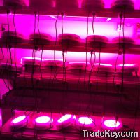 Sell UFO 90W 135W led grow light only 60$