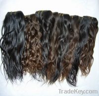 Sell hot selling brazilian hair