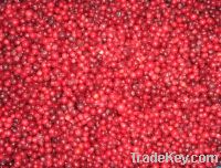 Sell frozen lingonberry