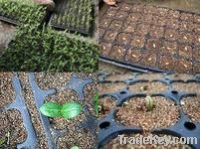 Sell Growing Media-Vermiculite