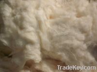 Sell Comber Noil Cotton Waste
