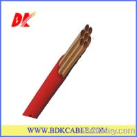 PVC Insulated cable(BV)