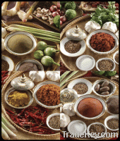 Sell Spices and Thai Food Ingredients & Curry Past