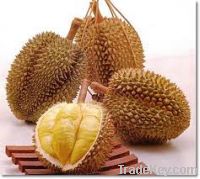 Sell Durian, Mangotean, Longon