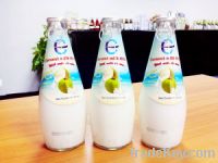 Sell Coconut milk drink with nata de coco