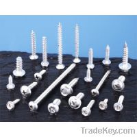 Sell Self Tapping Screws