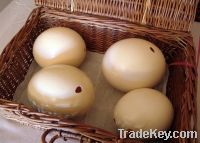 Sell Empty Ostrich Eggs