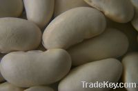 Sell White Kidney Beans