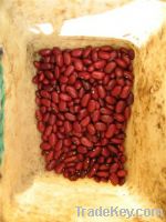 Sell Red Kidney Beans