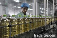 Export Refined Sunflower Oil | Pure Sunflower Oil Suppliers | Refined Sunflower Oil Exporters | Refined Sunflower Oil Traders | Refined Sunflower Oil Buyers | Pure Sunflower Oil Wholesalers | Low Price Sunflower Oil | Best Buy Sunflower Oil | Buy Sunflowe