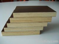 Sell formwork plywood