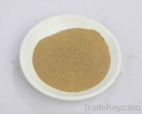 Sell rosemary extract carnosic acid5-60%