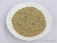 Sell rosemary extract ursolic acid15-98%