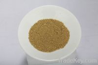 Sell rosemary extract carnosic acid30%