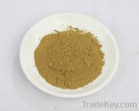 Sell rosemary extract carnosic acid40%