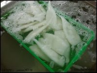 frozen seafood IQF squid