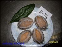 frozen boiled W/R abalone