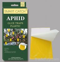 Sell aphid glue traps