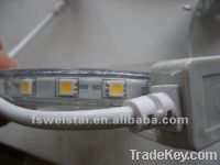 Sell High Power 220V LED rope light smd5050/3525