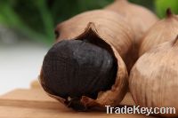 fermented organic black garlic