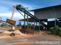 Sell Wood chips for paper market