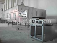 Microwave sterilizing equipment