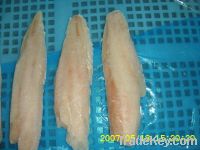 Sell frozen cod fillet