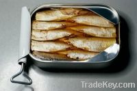 Sell Preserved Canned Sardine Fish