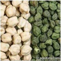 Sell Indian Chickpeas & All varieties of Rice.