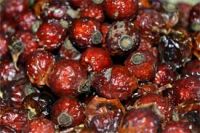 Dried rosehip (rosa canina)