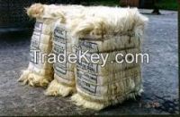 Sisal Fiber