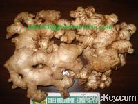 Sell Fresh ginger