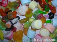 Sell Gelatin for Candy