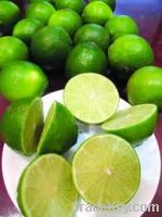 Sell Frozen Seedless Lemon